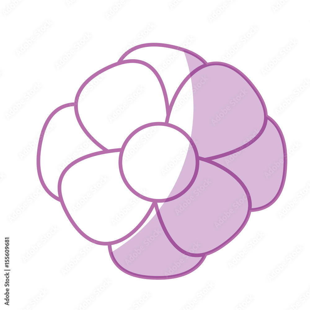 cute flower isolated icon vector illustration design cute flower isolated icon vector illustration design