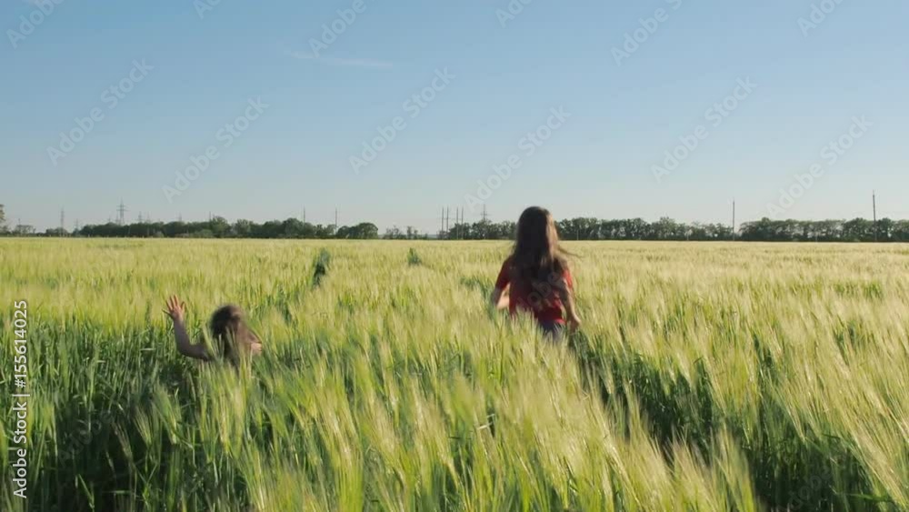 Children run around the wheat field. Sisters play in spikelets of wheat. Children run around the wheat field. Sisters play in spikelets of wheat.