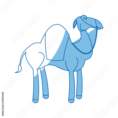 camel manger animal character christmas vector illustration