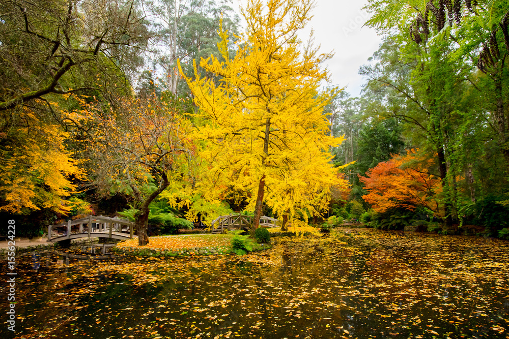 Fototapeta premium Alfred Nicholas Memorial Gardens
