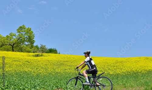 マウンテンバイク・青空と花の高原 を走る