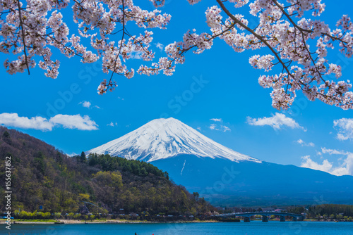 富士山と満開の桜 © L.tom