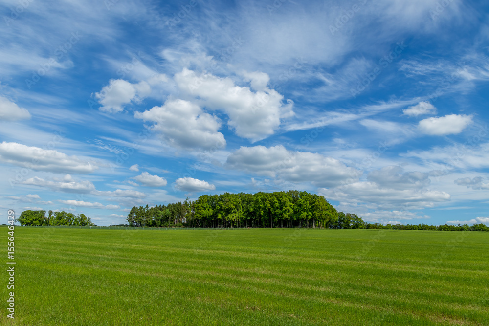 Spectacular landscape photography of a paradisaical green meadow with a small forest on the center and amazing dramatic clouds floating on an intense blue sky Spectacular landscape photography of a paradisaical green meadow with a small forest on the center and amazing dramatic clouds floating on an intense blue sky