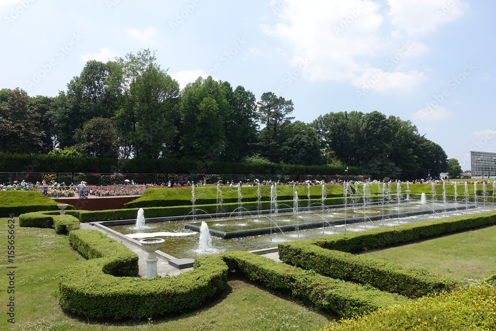五月のバラ園 五月のバラ園