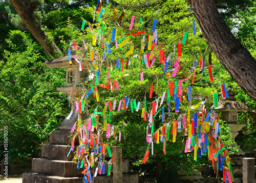 Foto 七夕 京都
Tanabata festival, Kyoto Japan