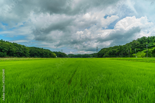 春の四街道市の田園風景 © nameyasu