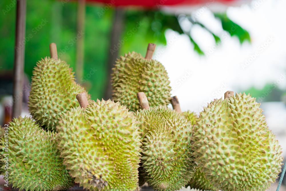 durian on stall in the market durian on stall in the market