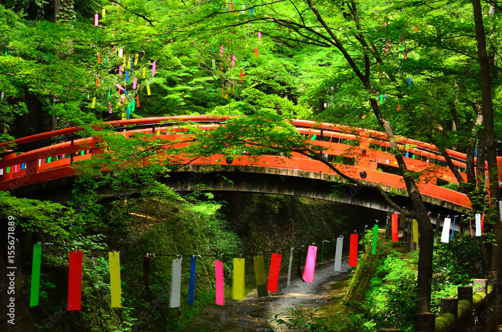 七夕 京都
Tanabata festival, Kyoto Japan