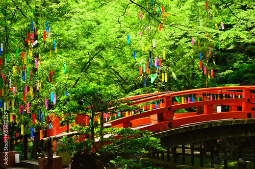 七夕 京都
Tanabata festival, Kyoto Japan