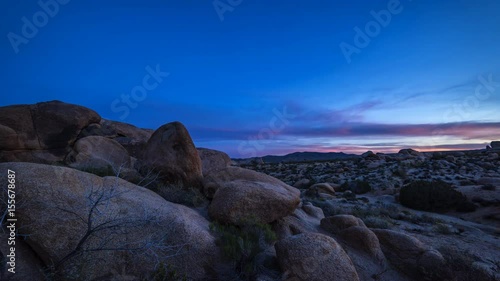Wallpaper Mural Joshua Tree National Park Desert Torontodigital.ca