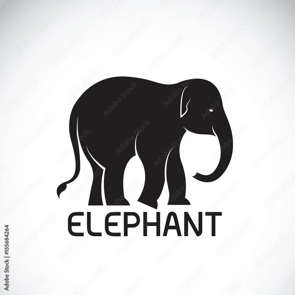 Vector of an elephant on white background. Wild Animal Vector of an elephant on white background. Wild Animal