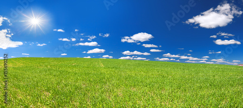 spring rural landscape with field and blue sky  a panorama