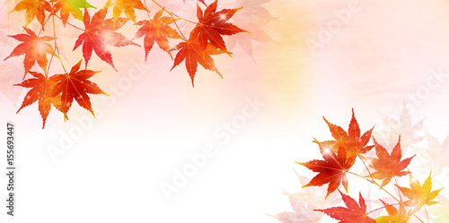 紅葉　　秋　風景　背景 
