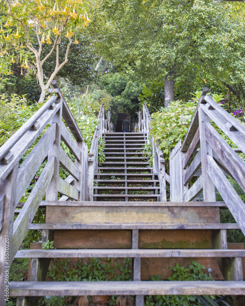 Wooden stairs with symmetry Wooden stairs with symmetry
