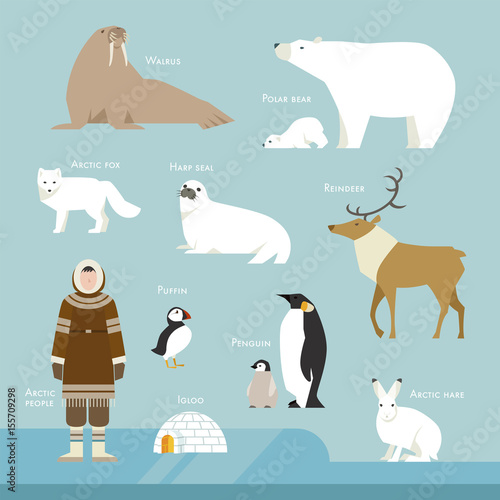 northpole animal and people flat design vector illustration
