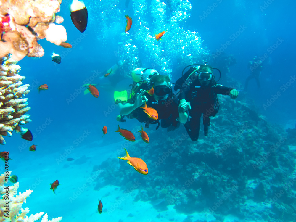 Naklejka premium Команда дайверов под водой. Дайвинг в Красном море, Египет