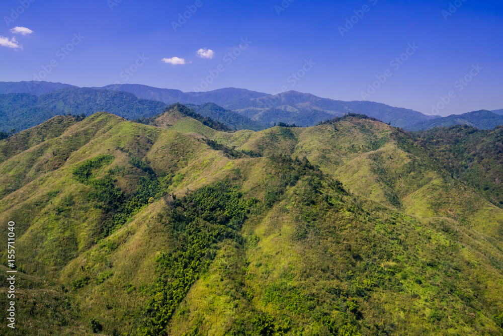 Aerial view of tropical rain forest