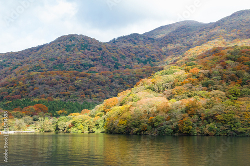 Lake Ashi, Autumn Landscape with colorful forest