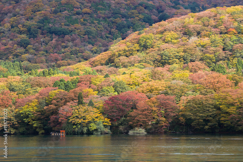 Fototapeta Naklejka Na Ścianę i Meble -  Lake Ashi, Autumn Landscape with colorful forest