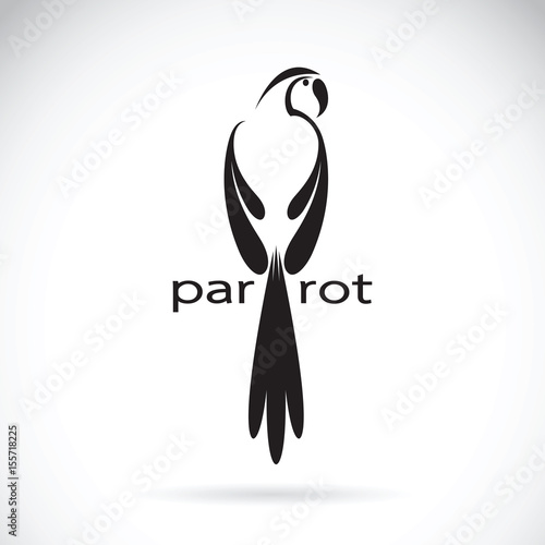 Vector of a parrot design on white background. Birds Logo.