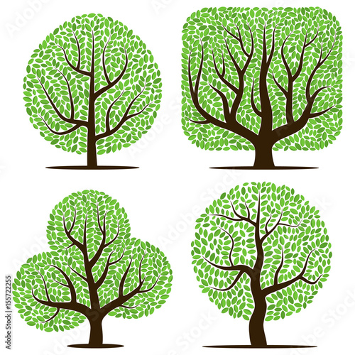 Four trees with green leaves isolated on a white background
