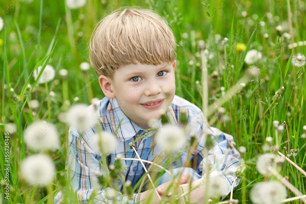 Little blond boy sitting in a meadow of dandelions Little blond boy sitting in a meadow of dandelions