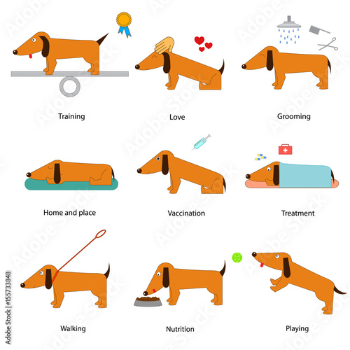 Cartoon Caring for Dog Set. Vector