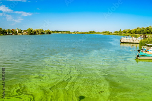 Green river waters with Algal bloom