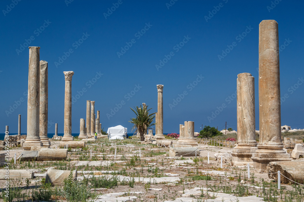 Fototapeta premium Ruins of the Roman city in Tyre, Lebanon