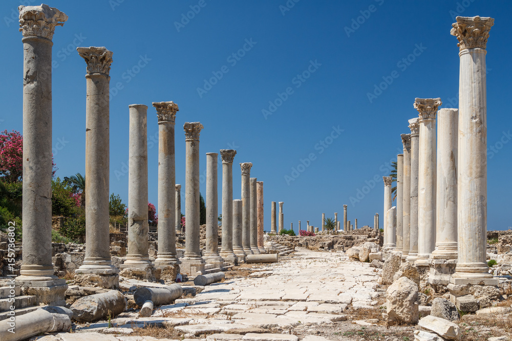 Ruins of the Roman city in Tyre, Lebanon