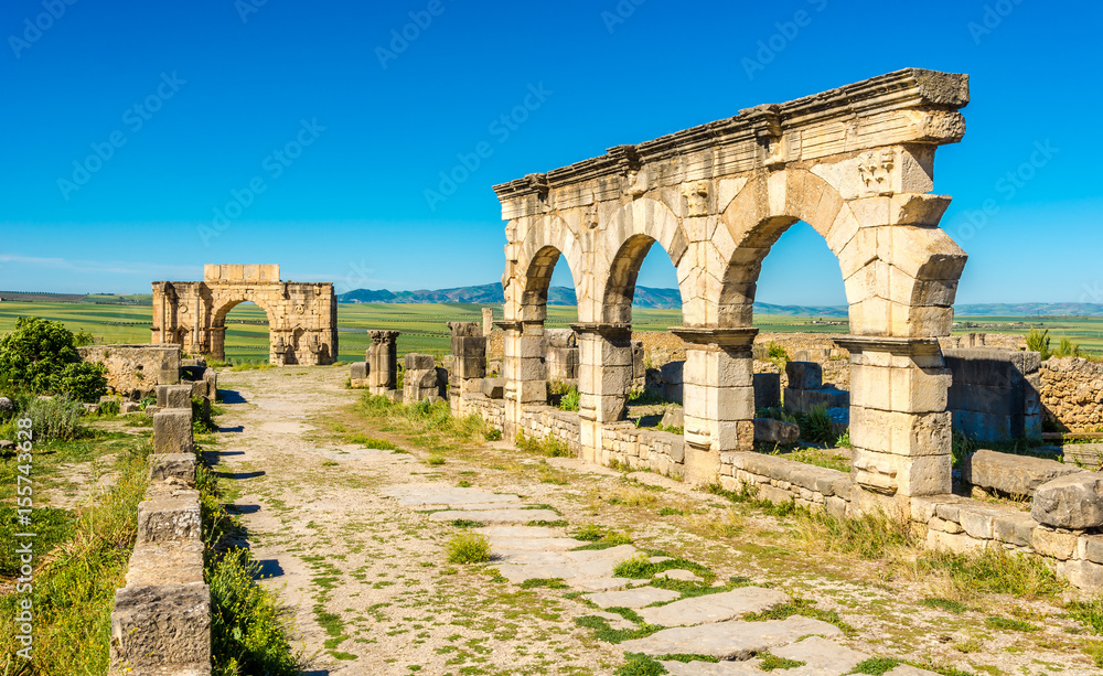 View at the street Decumanus Maximus in ruins of ancient city Volubilis - Morocco