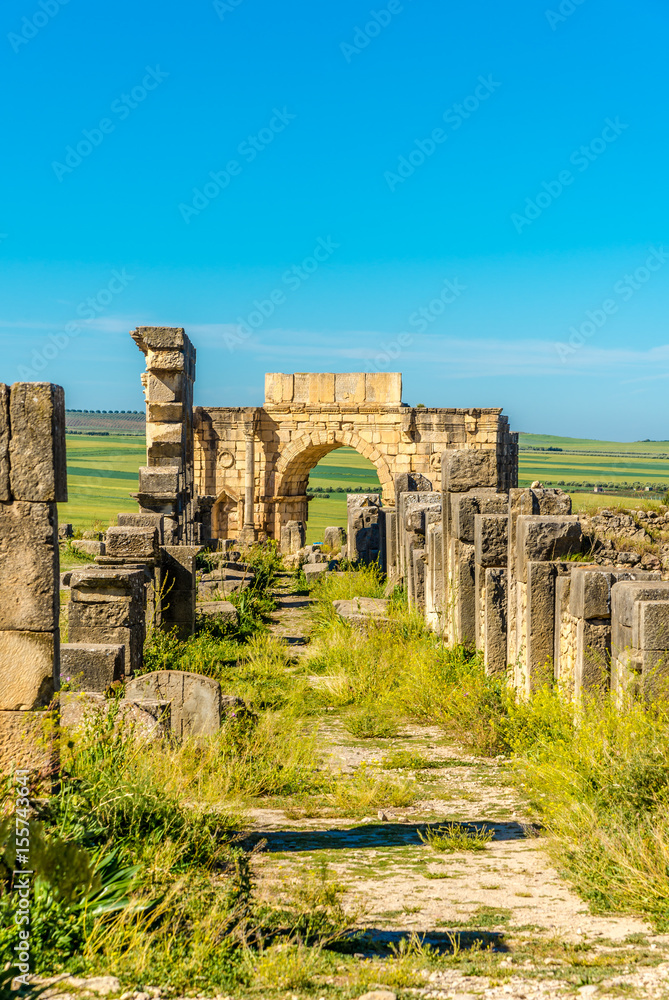 In the ruins of ancient city Volubilis in Morocco
