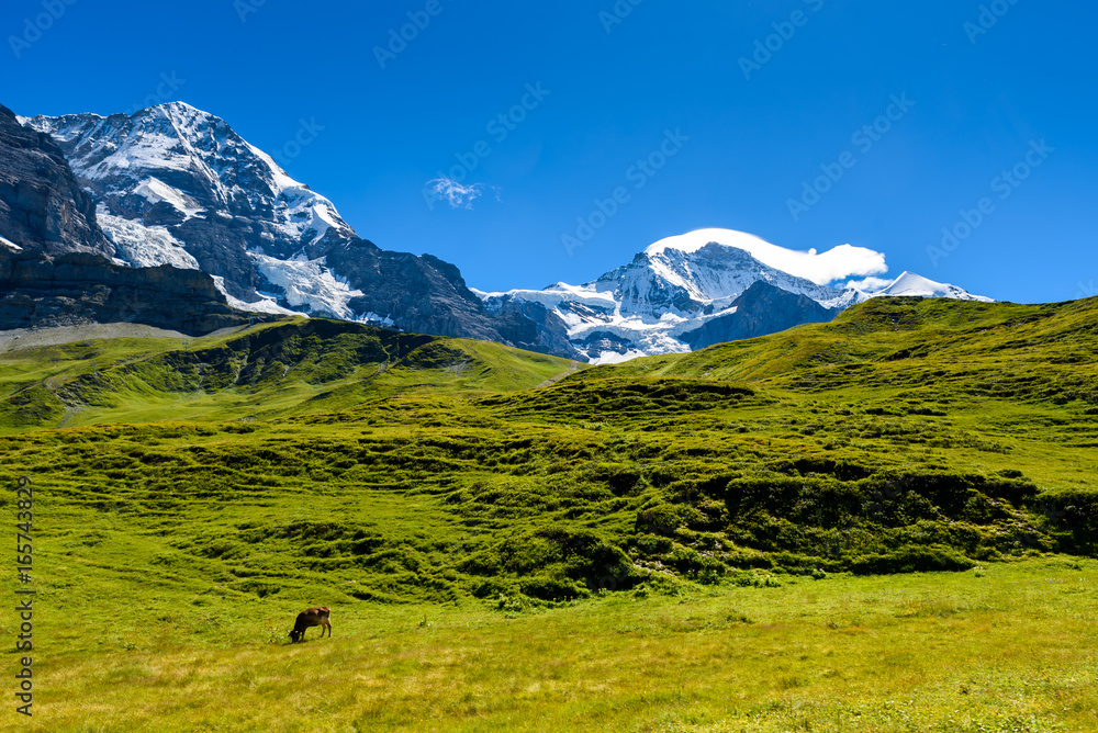 Fototapeta premium Beautiful mountain scenery at Grindelwald and Jungfrau - Switzerland