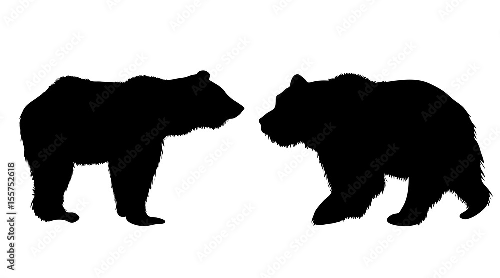 Fototapeta premium Vector silhouette of bear on white background.