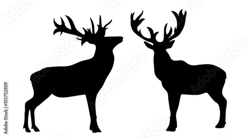 Vector silhouette of deer on white background.