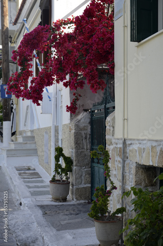 Fototapeta Naklejka Na Ścianę i Meble -  Rues de Pythagorion (Samos)