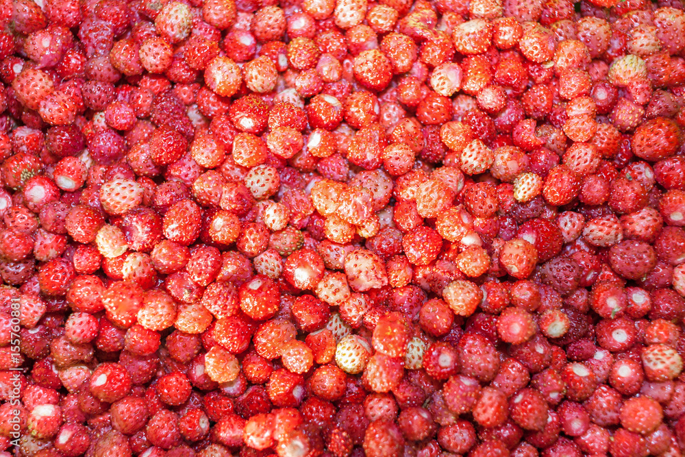 Natural background from berries of red wild strawberry. Natural background from berries of red wild strawberry.
