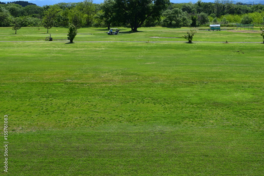 新緑のゴルフ場