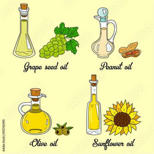 4 cooking oils in cute sketchy bottles. Hand drawn doodle set of edible vegetable food oil. With origin products olive, grape seed, peanut and sunflower.