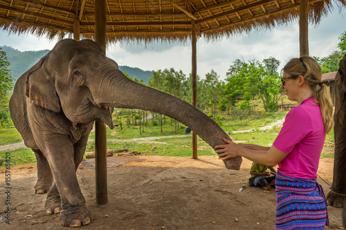 Tourist Hand Feeding a Elephant. Tourist woman hand feeding a elephant in Kalaw, Myanmar.