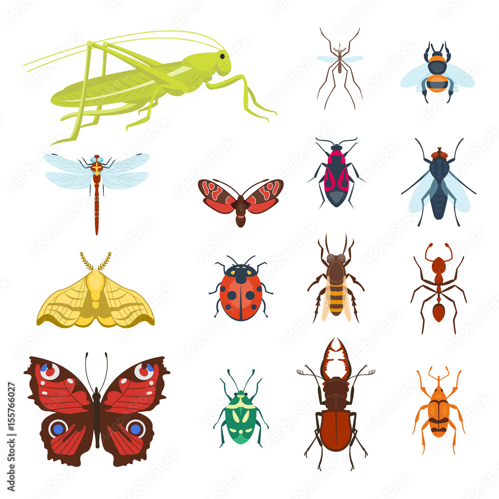 Colorful insects icons isolated wildlife wing detail summer bugs wild vector illustration Colorful insects icons isolated wildlife wing detail summer bugs wild vector illustration