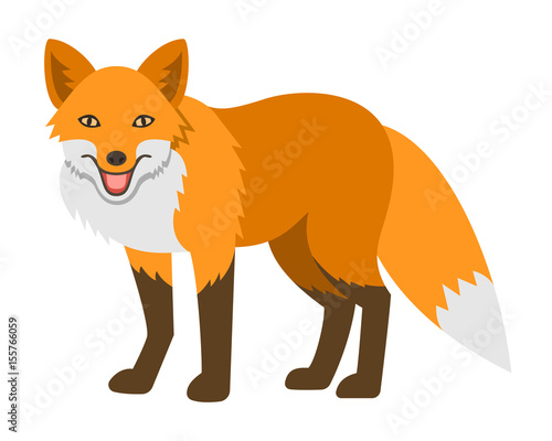 Cute smiling red fox vector cartoon illustration. Wild zoo animal icon. Shaggy adult predator standing. Isolated on white. Forest fauna childish character. Simple flat design element. Side view