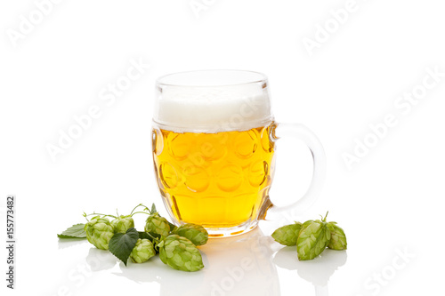 Beer with hop fruit isolated.