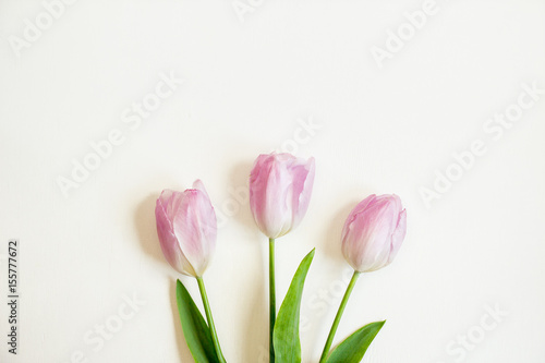 Three tulips on a white background. The top view.