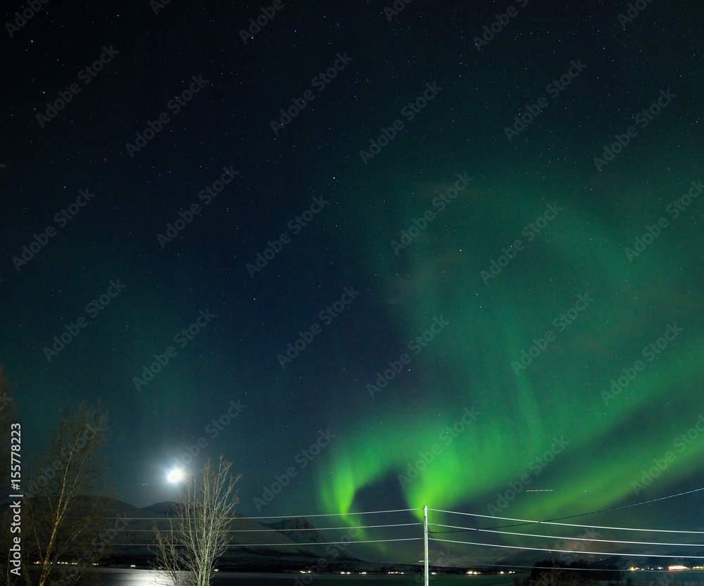 Northern lights and fjords