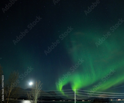 Northern lights and fjords