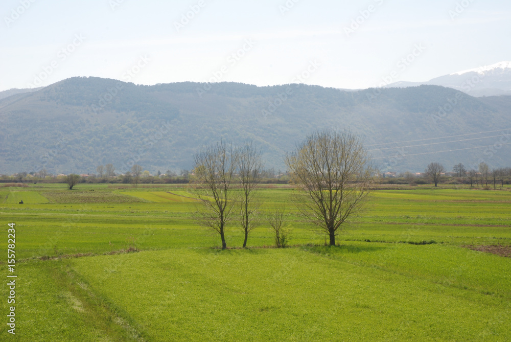 PAESAGGIO DI PIANURA.CAMPANIA,SUD ITALIA