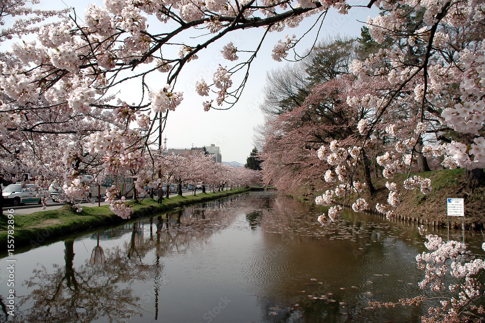 弘前公園さくらまつり 弘前公園さくらまつり
