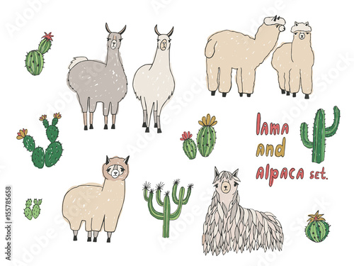 Cute Lama, Alpaca and cactuses set. Hand drawn vector illustration