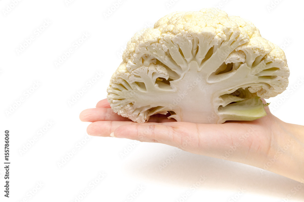 Chef is holding the cauliflower by hand on white background isolated